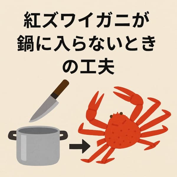 紅ズワイガニが鍋に入らないときの工夫