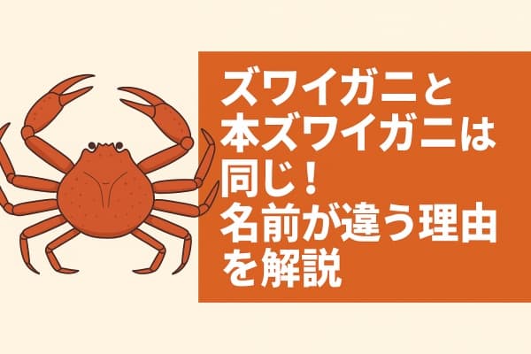 ズワイガニと本ズワイガニは同じ！名前が違う理由を解説!